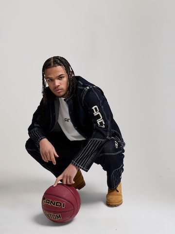 AND1 Демисезонная куртка в Синий