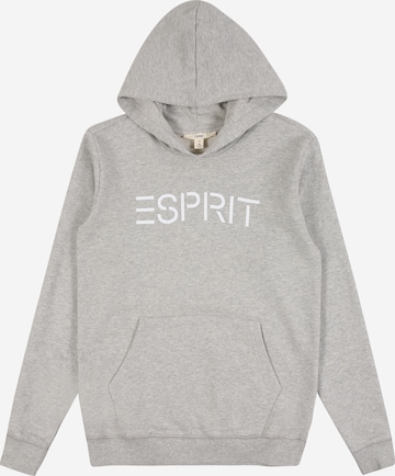 ESPRIT Regular Fit Sweatshirt in Grau: predná strana