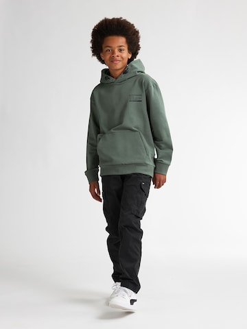 Petrol Industries Sweatshirt 'Puget' in Green