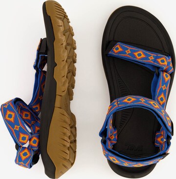 Sandales de randonnée TEVA en bleu