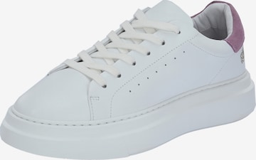Apple of Eden Sneakers laag ' SAMIR ' in Wit: voorkant