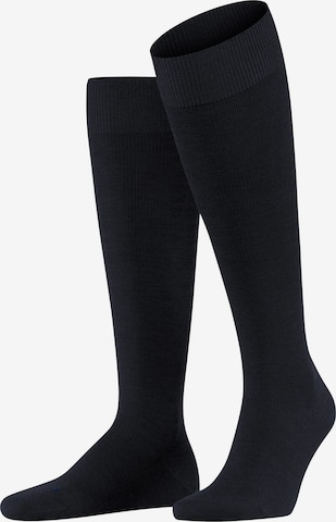 FALKE Knee High Socks 'Energizing Wool' in Blue: front