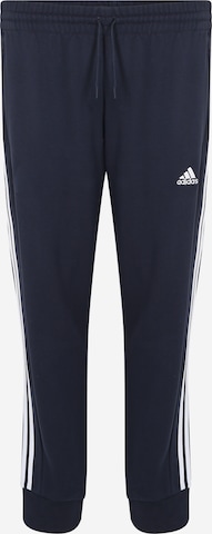 Pantalon de sport 'Essentials' ADIDAS SPORTSWEAR en bleu : devant