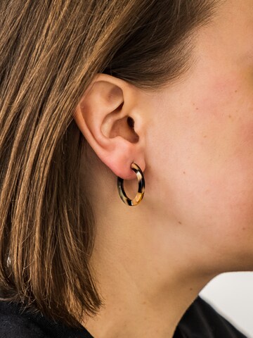 Boucles d'oreilles 'Anni' Fräulein Wunder en marron : devant