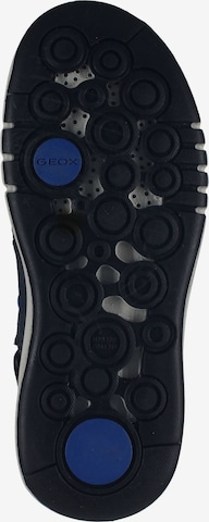 GEOX Laarzen in Blauw