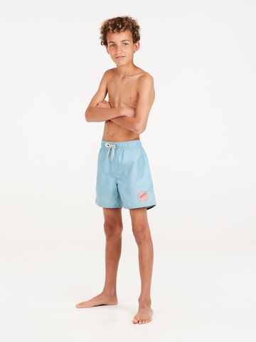 PROTEST Badeshorts 'PRTYORK JR' in Blau