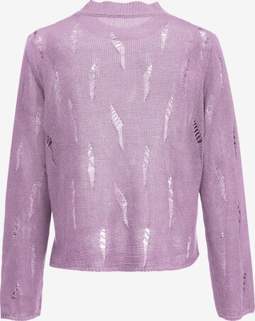 UCY Sweater in Purple