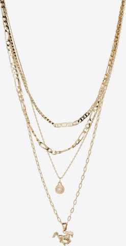PIECES Necklace 'FUTELIA' in Gold: front