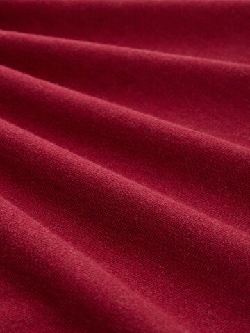 TOM TAILOR Sweater in Red