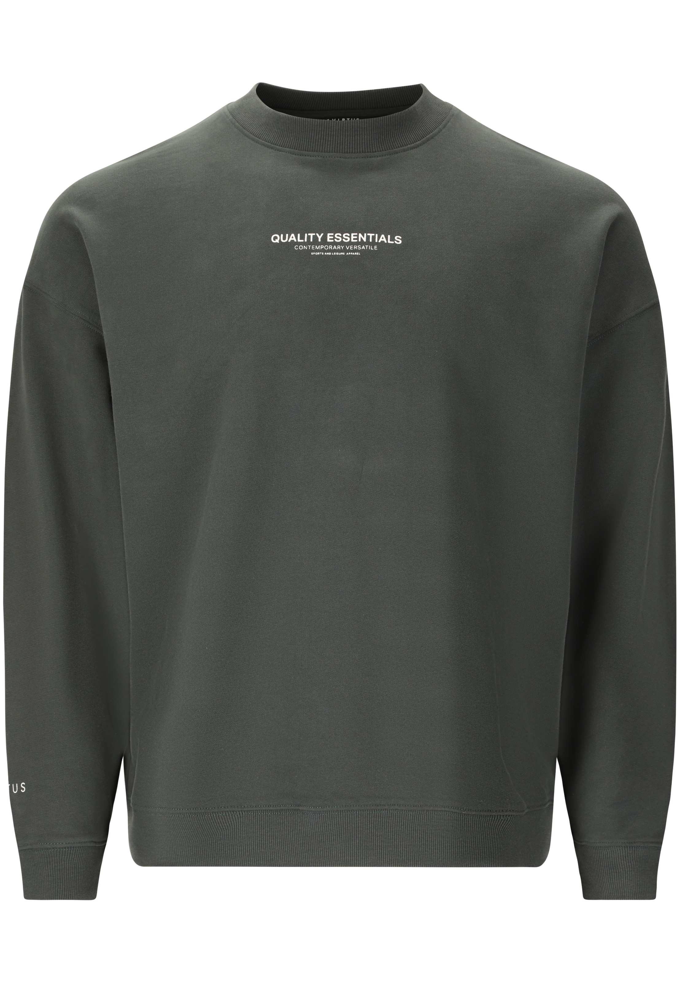 Virtus Sweatshirt 'Idan' in Green: front