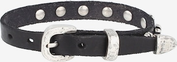 Campomaggi Armband in Schwarz