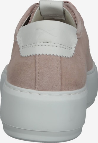 Baskets basses 'Paulina' BRAX en rose