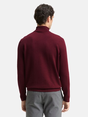 TOM TAILOR Sweater in Red