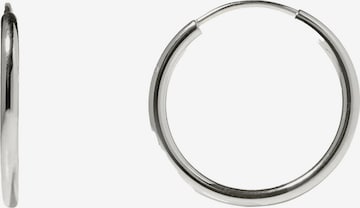 Stilnest Earrings in Silver: front