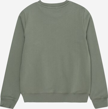 Calvin Klein Jeans Sweatshirt i grøn