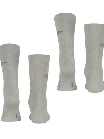 ESPRIT Socks 'Unisex Logo 2-Pack' in Grey