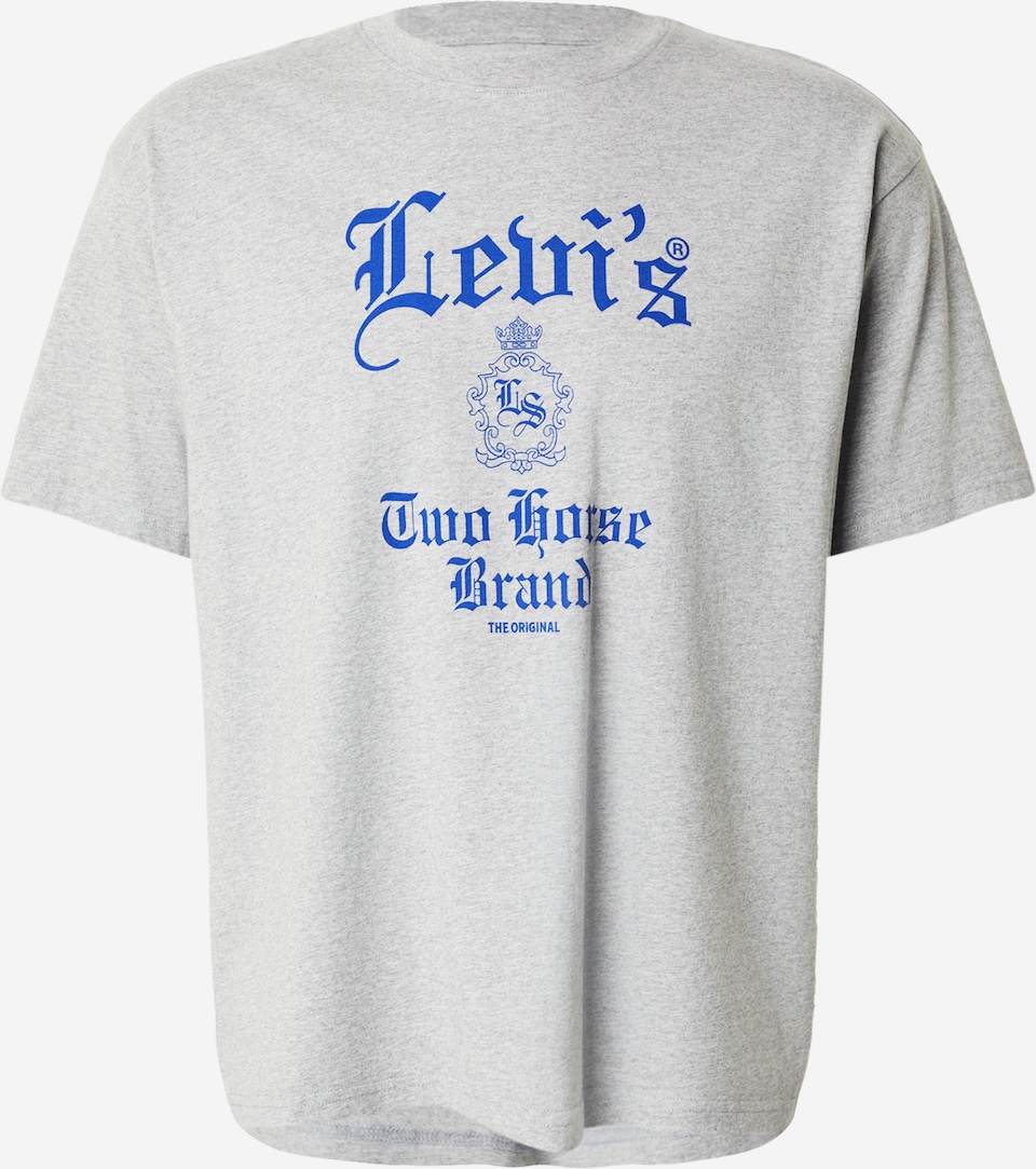 Tricou 'Graphic Boxy Tee' de la LEVI'S ® pe gri: față
