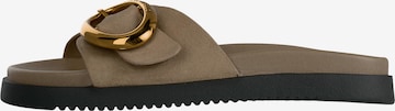 STEVE MADDEN Muiltjes 'Mistify' in Beige: voorkant