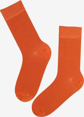 Chaussettes 'TAUNO' Sokisahtel en jaune : devant