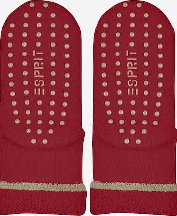 ESPRIT Socken 'Cozy' in Orange: Vorderseite