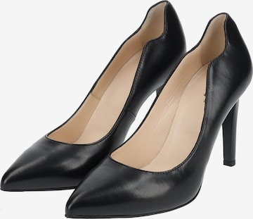 Nero Giardini Pumps in Schwarz