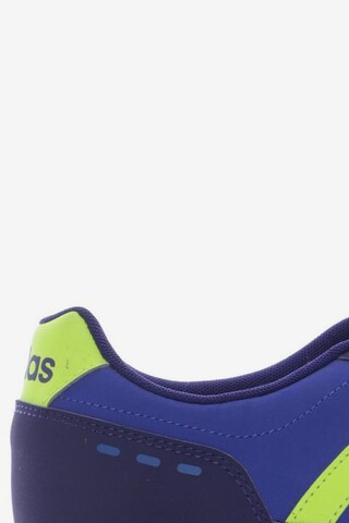 ADIDAS NEO Sneakers & Trainers in 40 in Blue