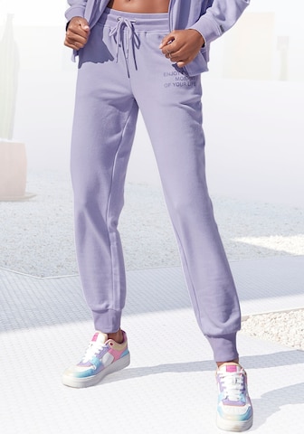 BUFFALO Tapered Pants in Purple: front