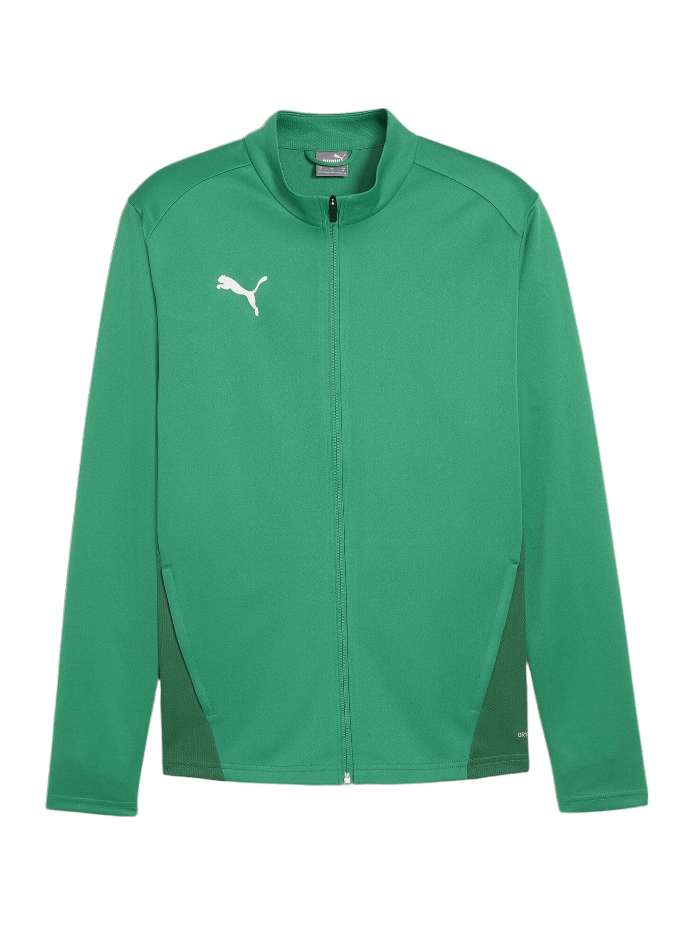 PUMA Trainingsjacke 'TeamGoal' in Grün: Vorderseite