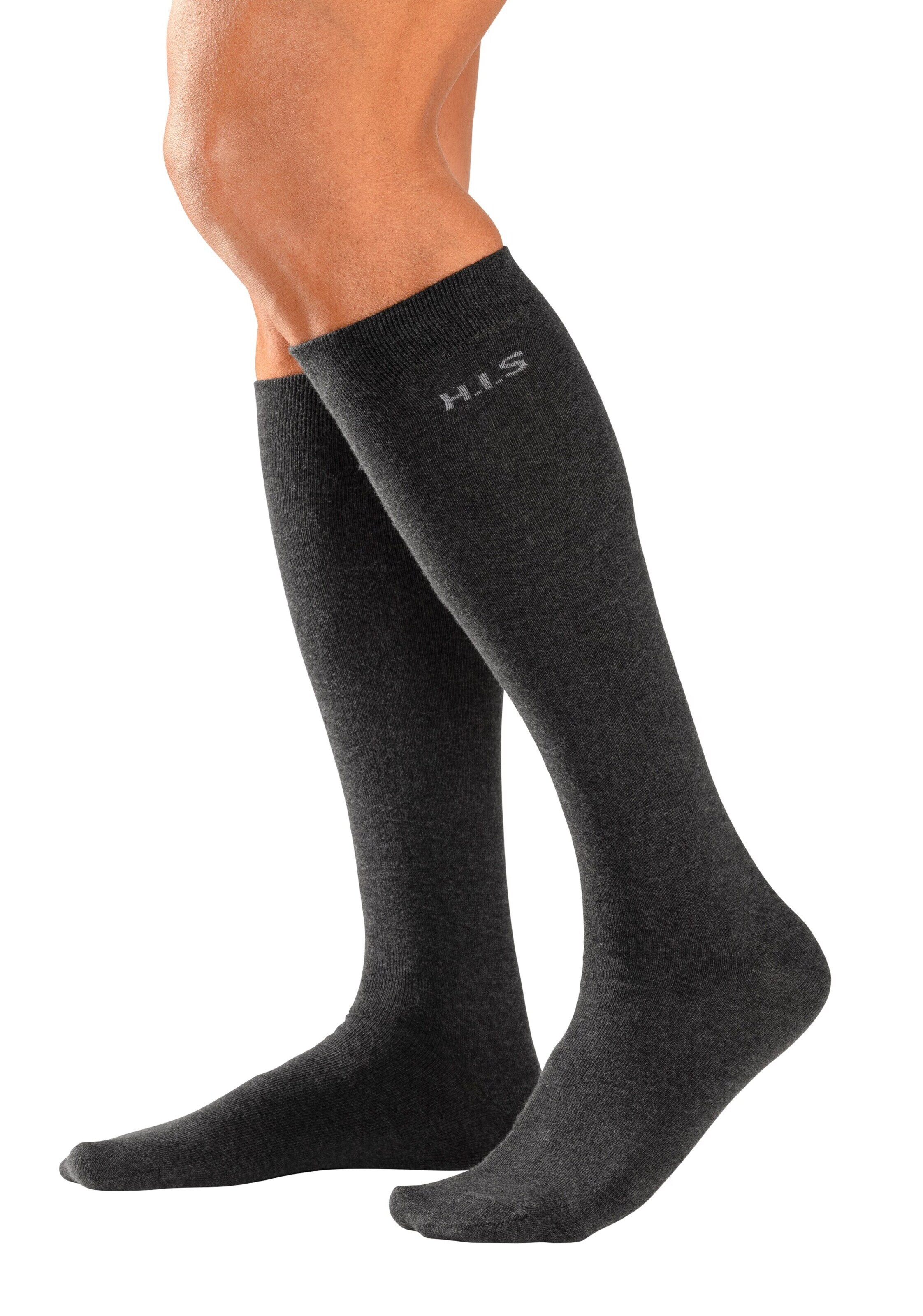 pilka H.I.S Kojinės iki kelių