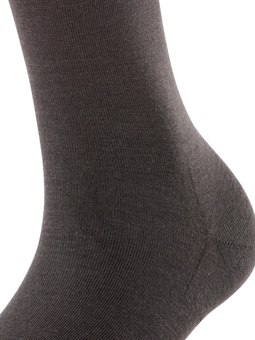 FALKE Knee High Socks in Brown