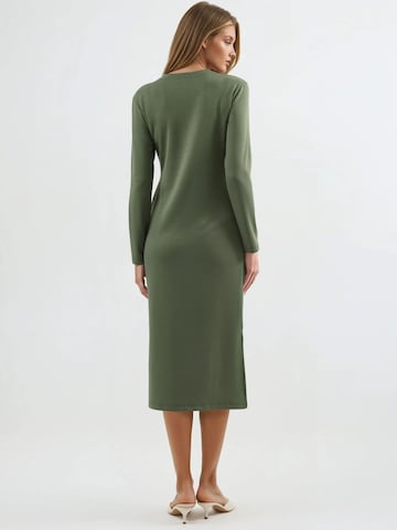 Hiccup Jurk in Groen