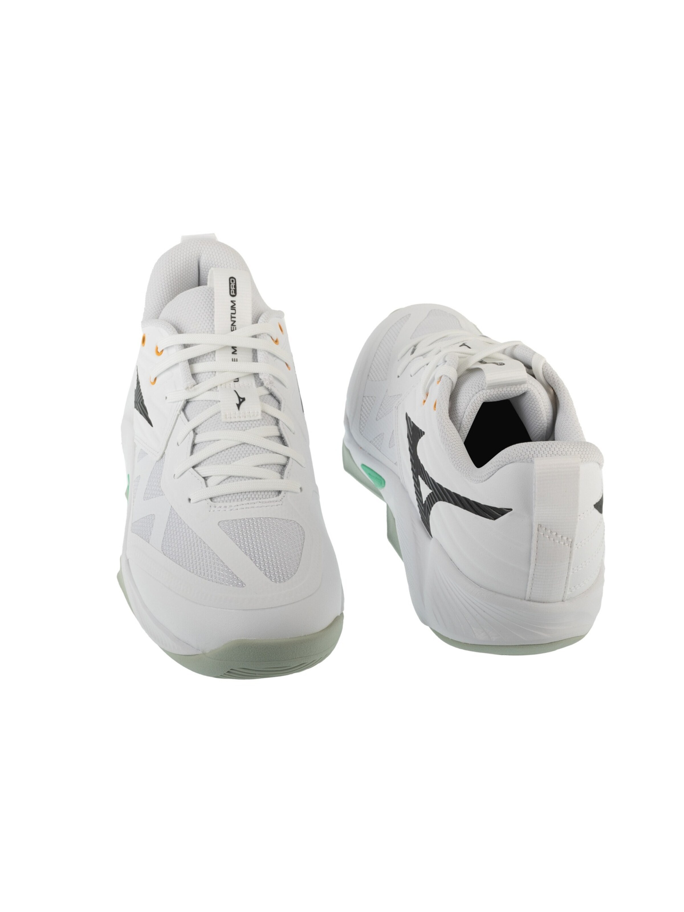 MIZUNO Sportschuh 'Mizuno Wave Momentum Pro'‌‌‌‌‌‌ in Weiß