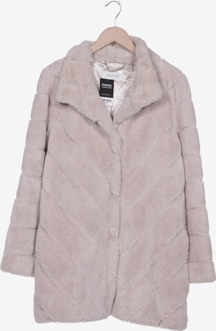 Calvin Klein Jacket & Coat in M in Beige: front