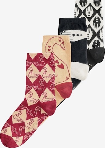 Rockett St GeorgeČarape 'Swan' - bež boja: prednji dio