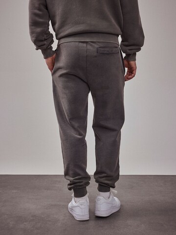 DAN FOX APPAREL Tapered Pants 'The Essential' in Grey