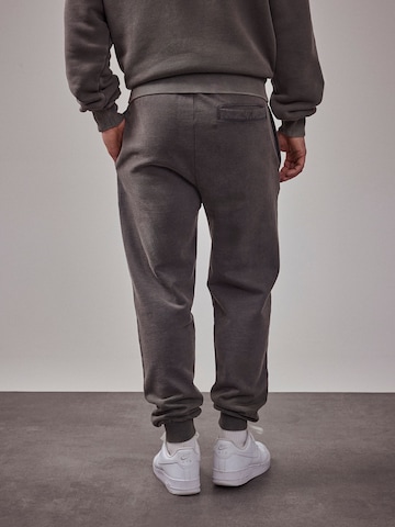 DAN FOX APPAREL Tapered Pants 'The Essential' in Grey