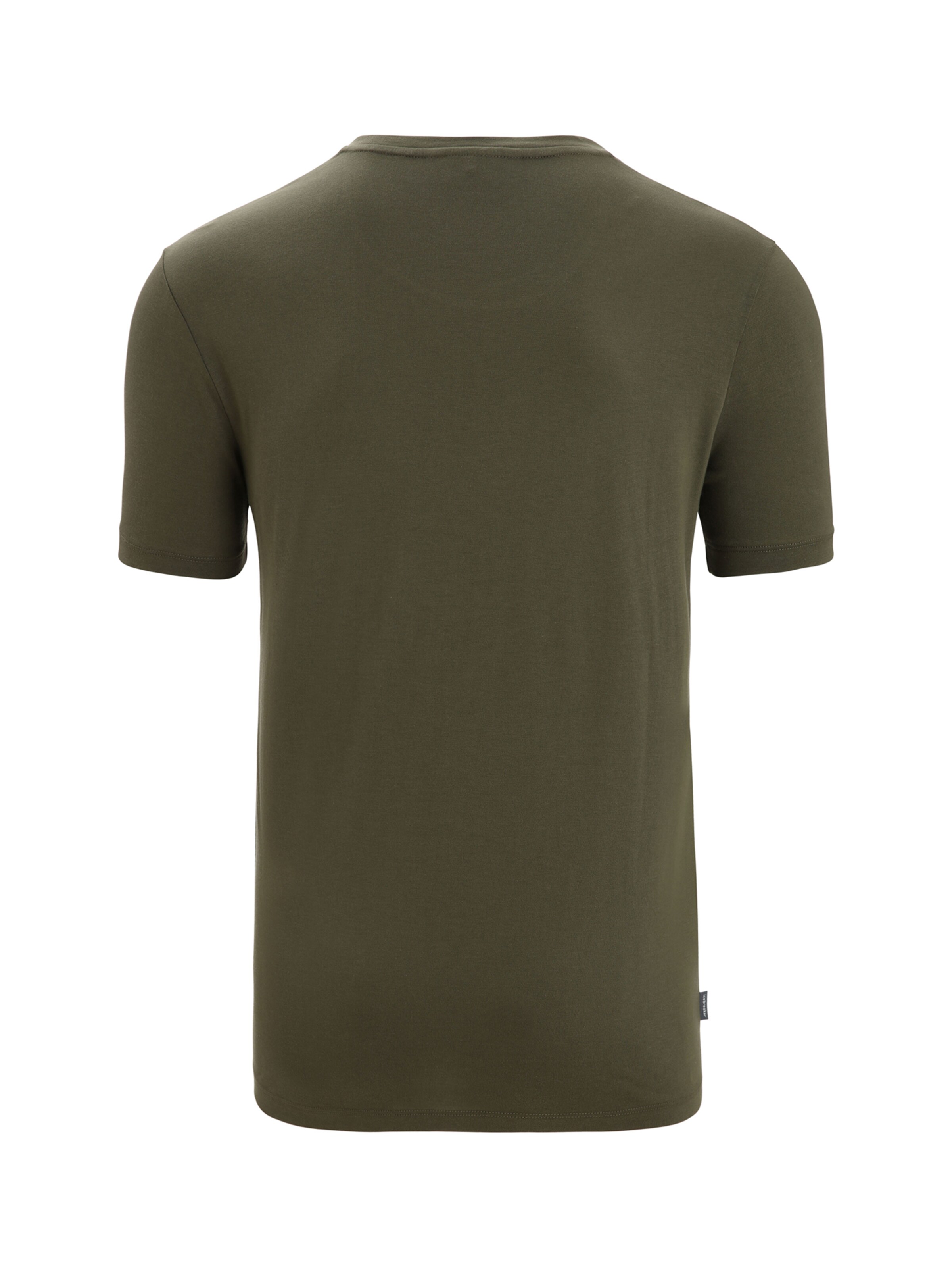 ICEBREAKER Funktionsshirt in Grün