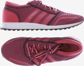 ADIDAS ORIGINALS Sneakers & Trainers in 41 in Pink: front