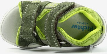 RICHTER Open schoenen in Groen