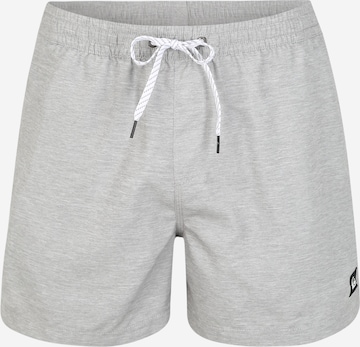 QUIKSILVER Zwemshorts 'EVDAYVL15 M JAMV GCZ0' in Grijs: voorkant