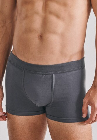 Boxer di SEIDENSTICKER in grigio