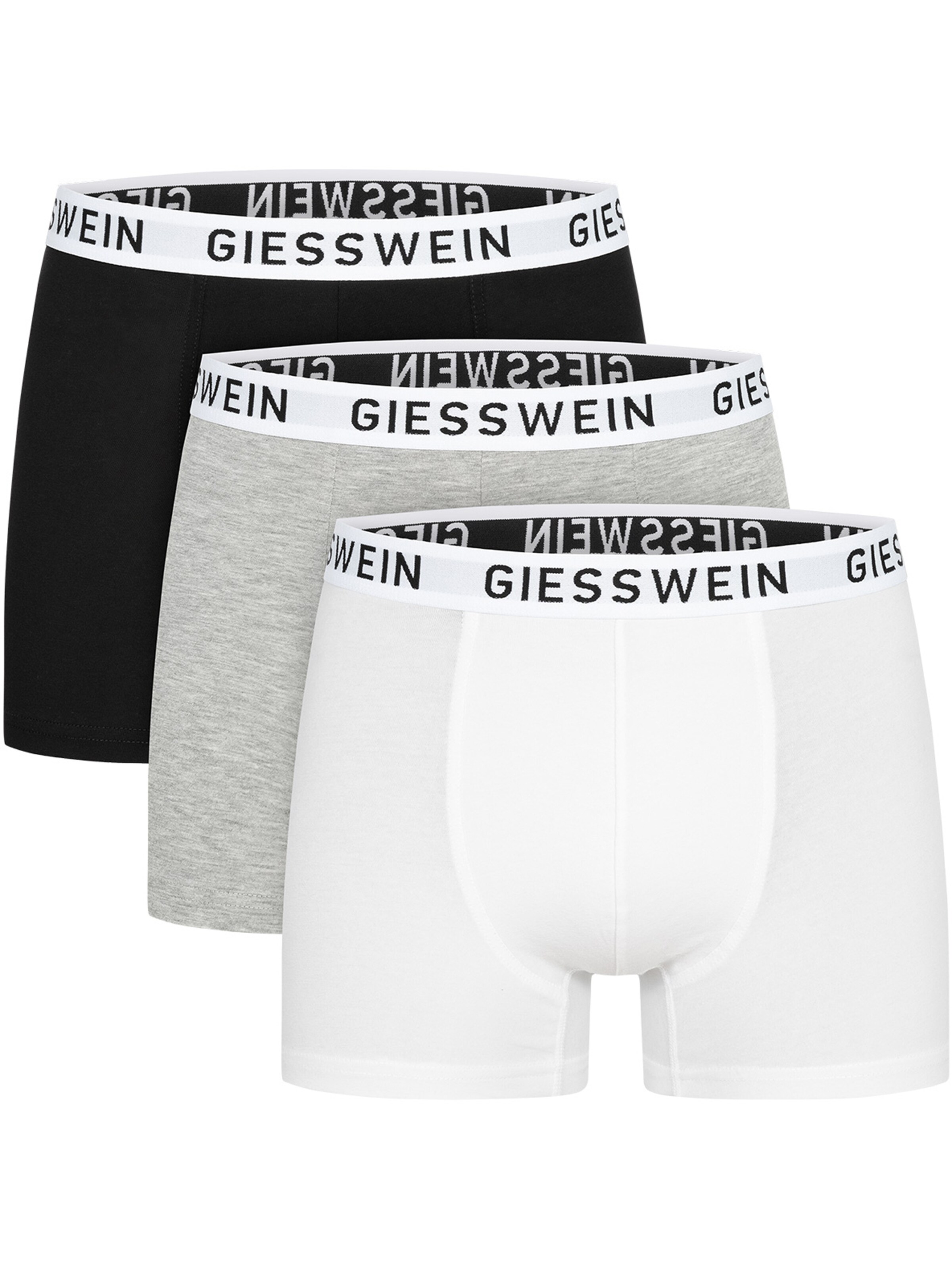 GIESSWEIN Boxer shorts in Grey: front