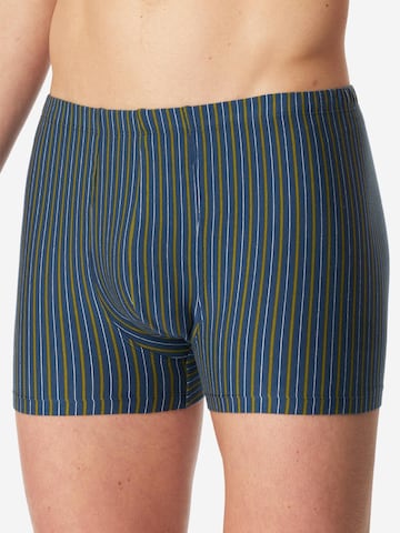 SCHIESSER Boxer shorts '95/5 Essentials - Cotton' in Blue