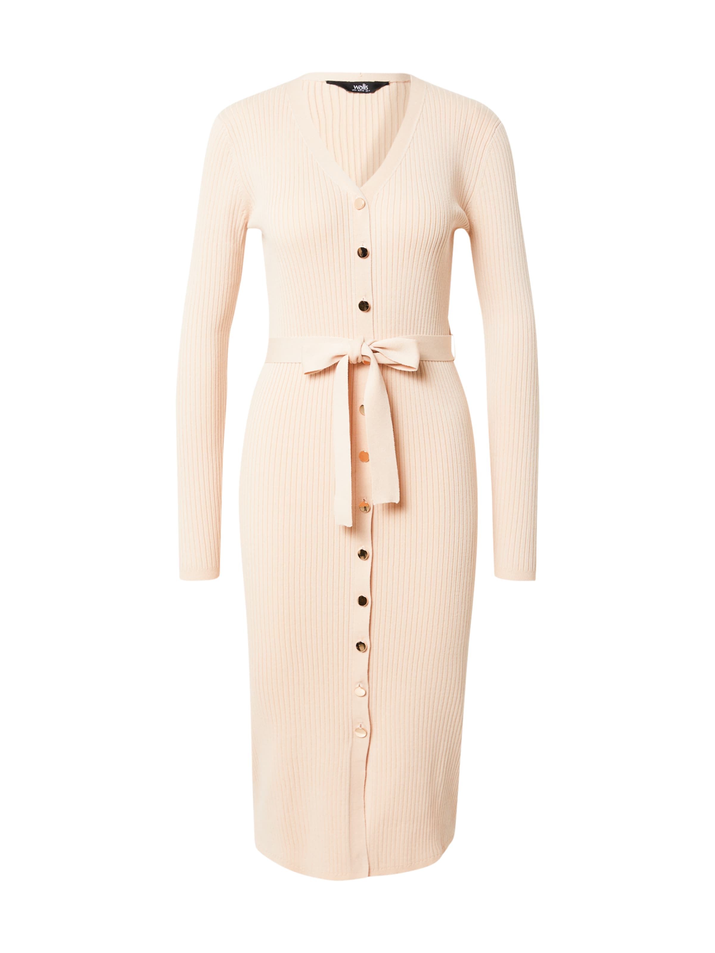 Wallis Kleid in Pink: Vorderseite