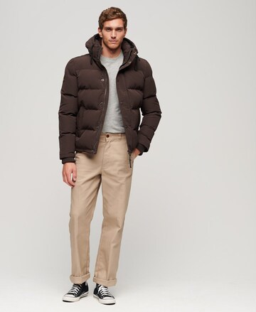 Superdry Winterjas 'Everest' in Bruin