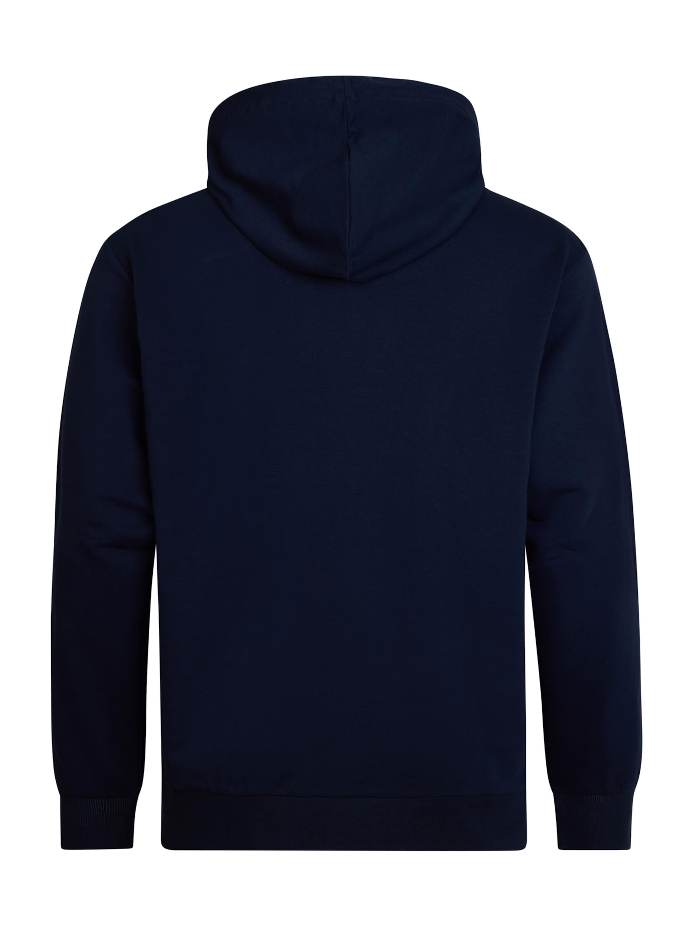Petrol Industries Sweatshirt in Blue