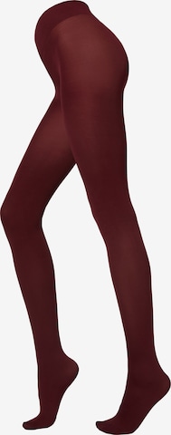 CALZEDONIA Tights in Red: front