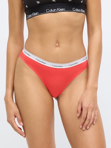 Calvin Klein Underwear Slip in Grey