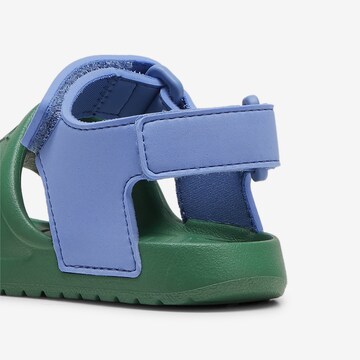 PUMA Sandals 'Divecat v2 Injex' in Green