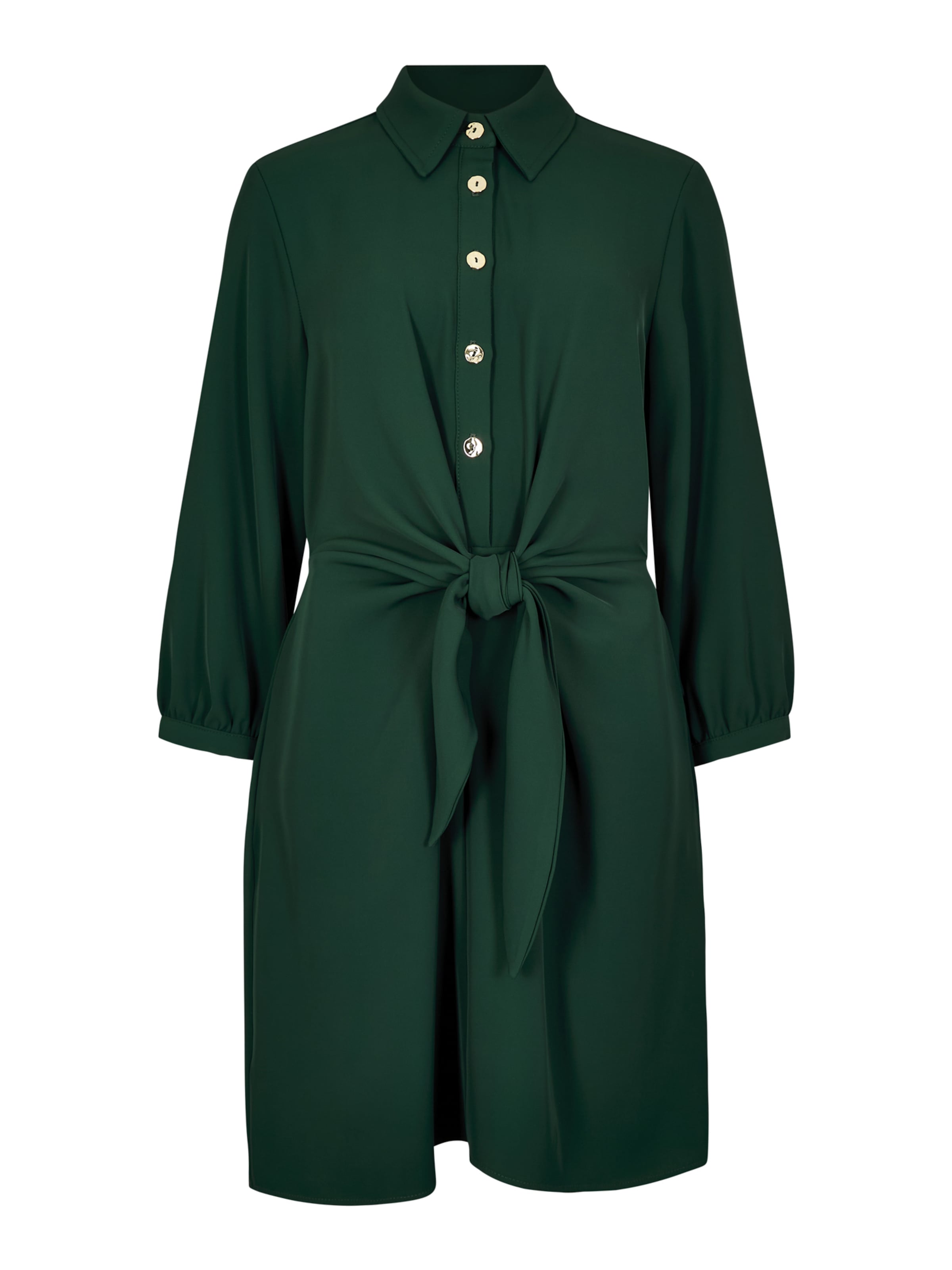 Apricot Dress ' ' in Green: front